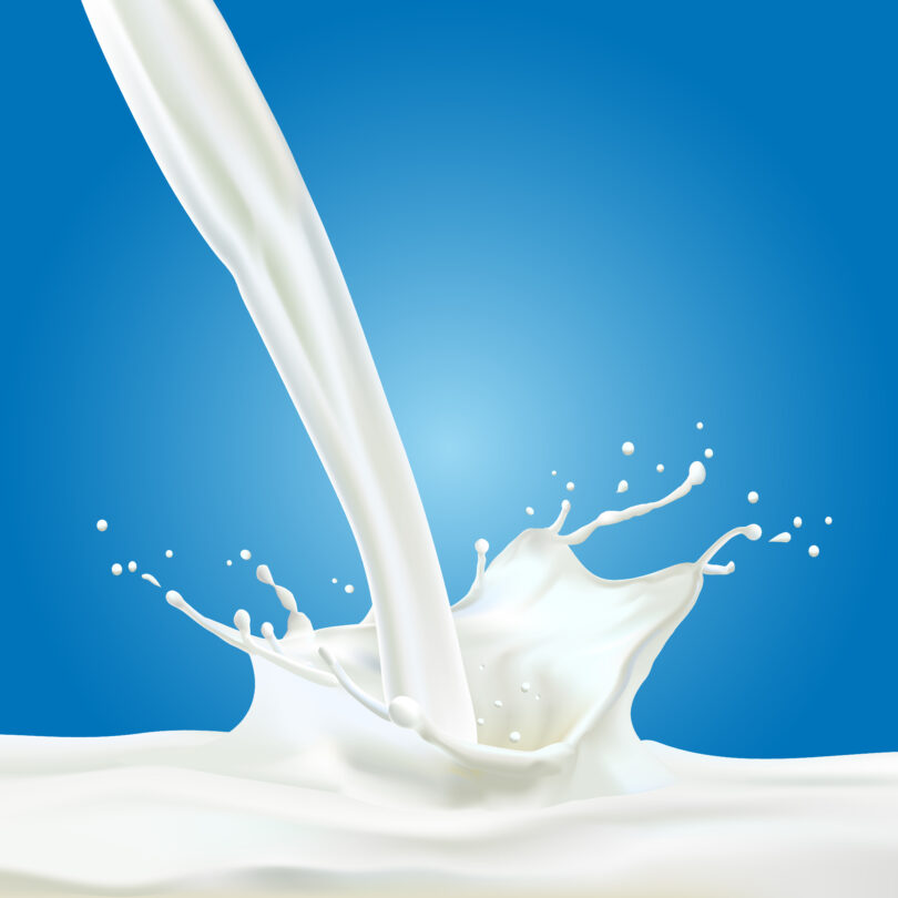 3D Premium Milk Splash Vector Templates